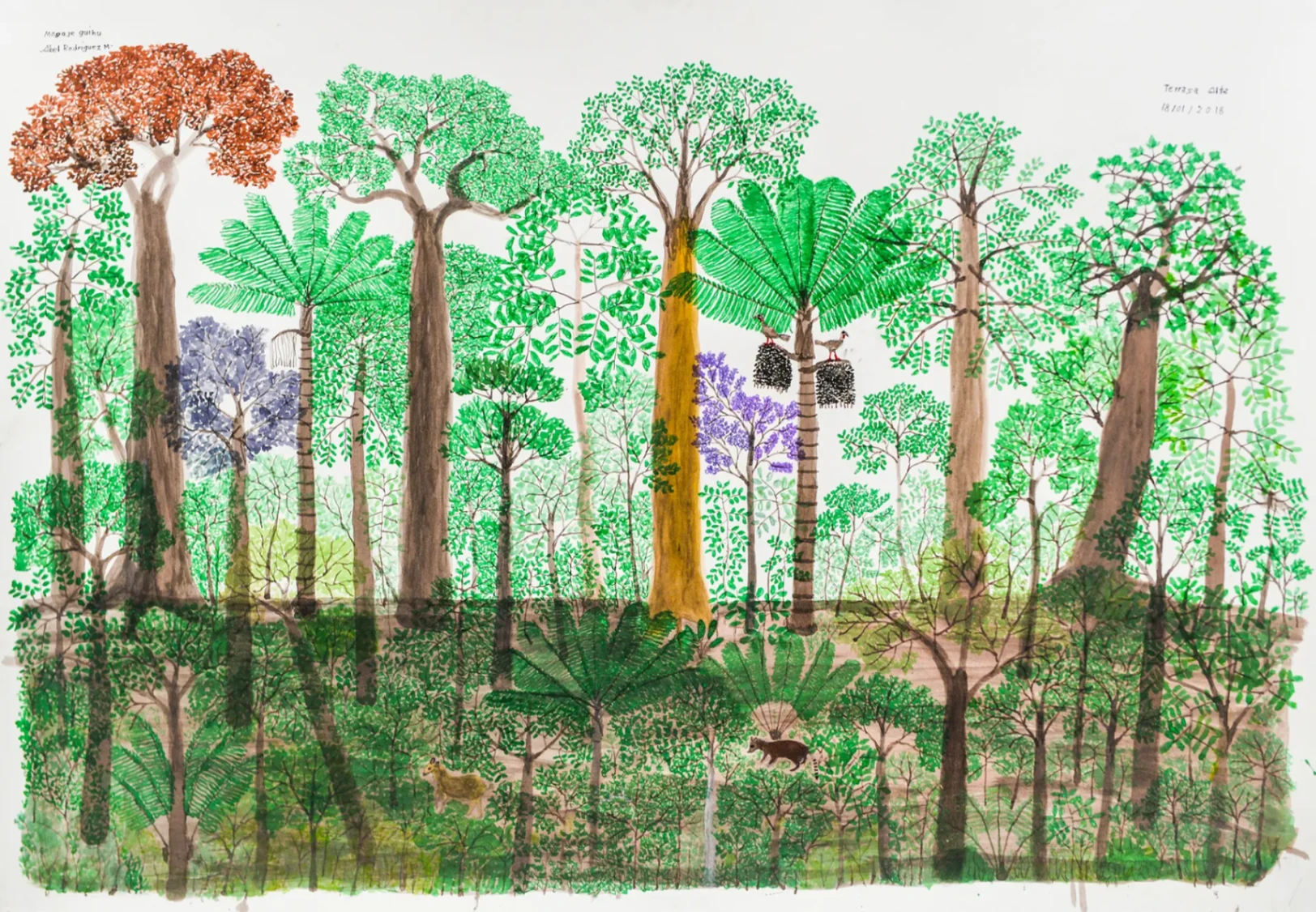 Abel Rodríguez en el MALBA: el artista amazónico que pintó 400 especies de memoria